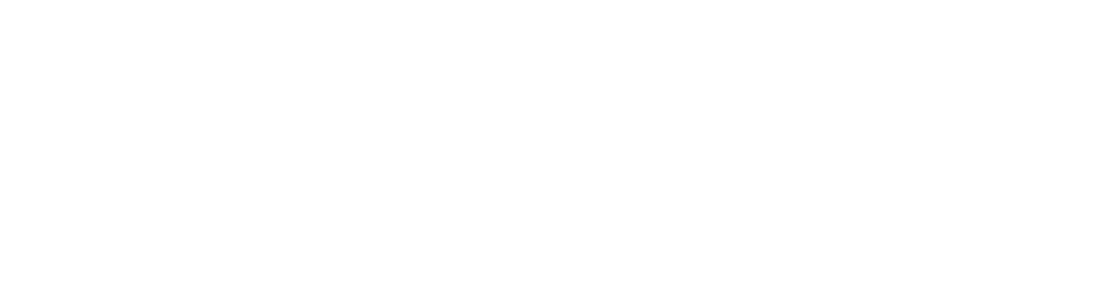 MustardSeedHoldings_Logo-2